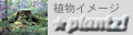 植物イメージ★plantz!